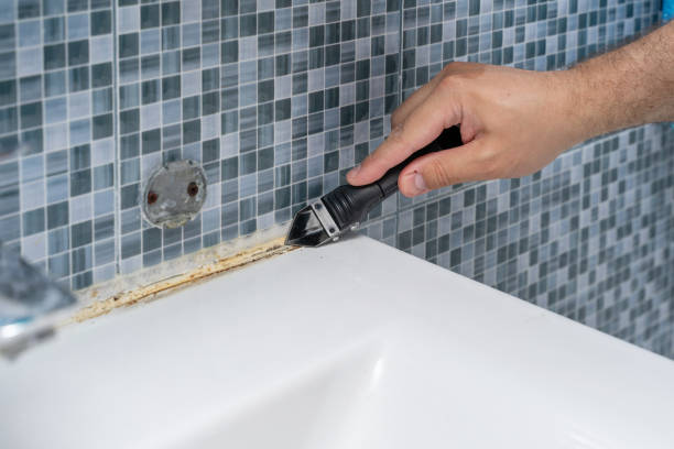 Best Toxic Mold Removal  in El Valle De Arroyo Seco, NM